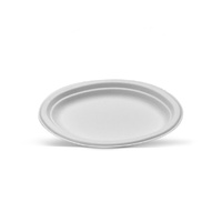 Sugarcane Oval Plate Large 251x318mm (50Pk)